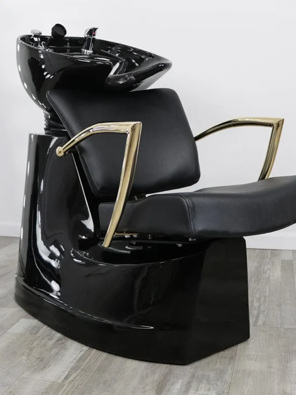 portable shampoo bowl with chair